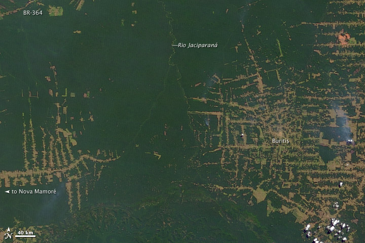 Vrai / Faux : La deforestación es una de las principales consecuencias de la actividad humana en la Amazonia, según datos de Greenpeace (2023). — afficher la réponse