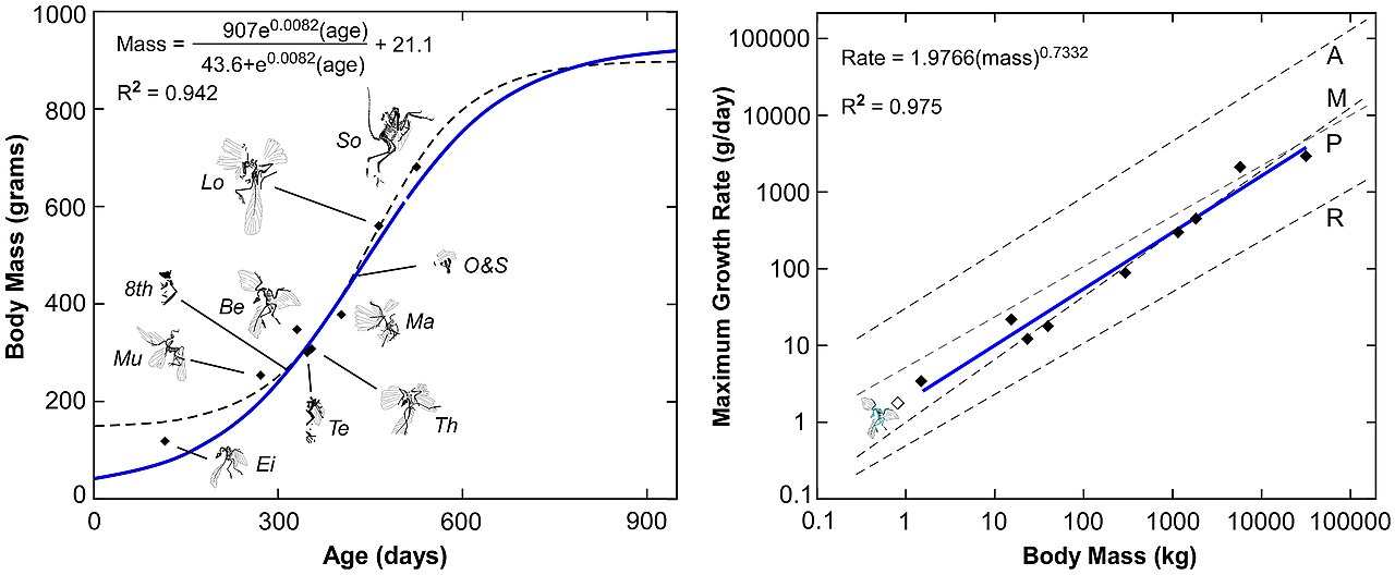 Vrai / Faux : L'évolution technologique d'un produit suit une courbe en S, où la phase de maturité correspond à une optimisation des coûts et une concurrence accrue. — afficher la réponse