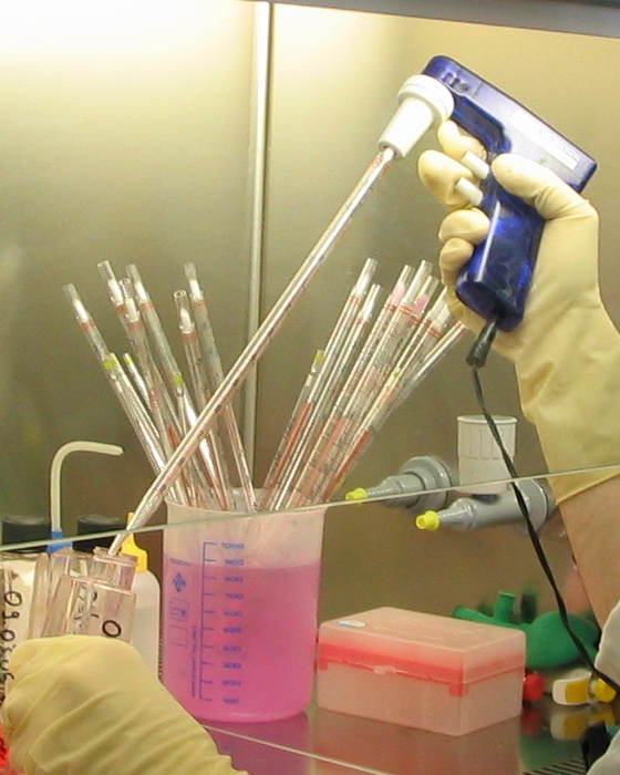 QCM : Parmi les propositions suivantes, laquelle décrit correctement une application concrète de la culture cellulaire en biotechnologies? — afficher la réponse