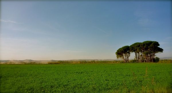 Texte à trous : Dans le vers de Victor Hugo « Demain, dès l'aube, à l'heure où blanchit la campagne », les mots « aube », « blanchit » et « campagne » appartiennent au champ lexical de {{1}}. Ce procédé permet de {{2}} l'atmosphère du poème. — afficher la réponse