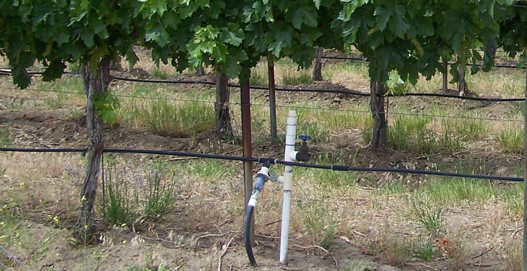 Flashcard : Quel est le principe de l'irrigation goutte-à-goutte en agriculture? — afficher la réponse