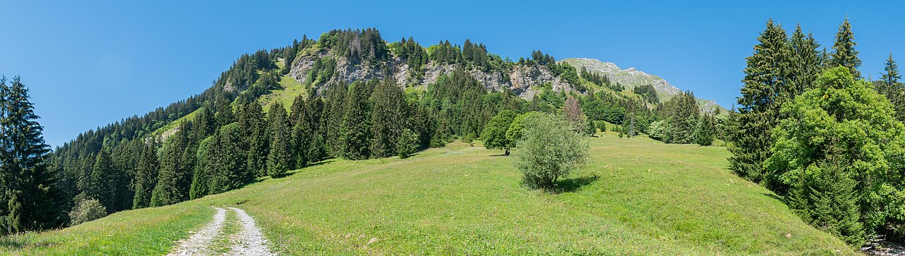 Vrai / Faux : Le réseau Natura 2000, créé dans le cadre de la Directive Habitats, couvre uniquement des sites terrestres en Europe. — afficher la réponse